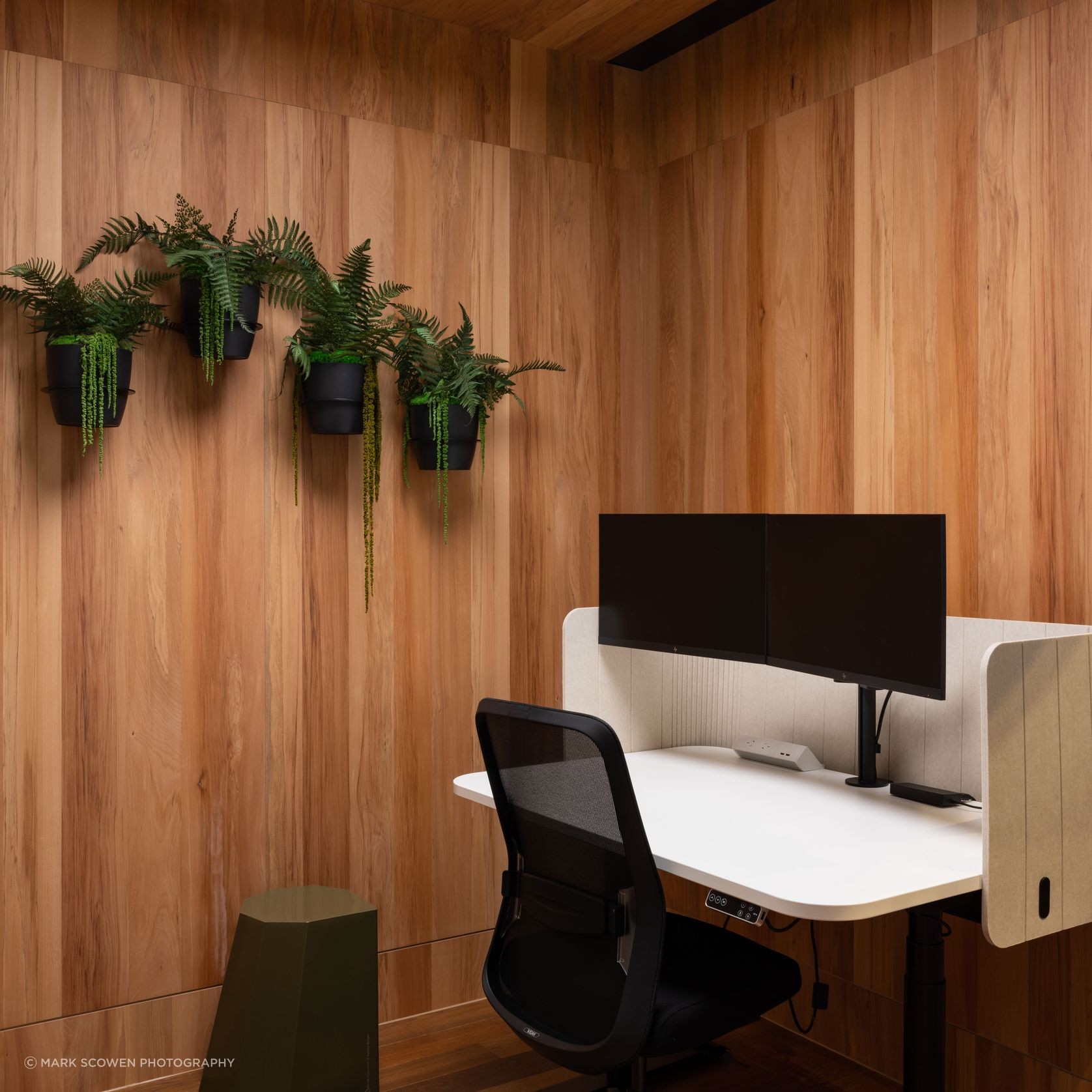 Prime Toitū Veneer Interior Panels gallery detail image