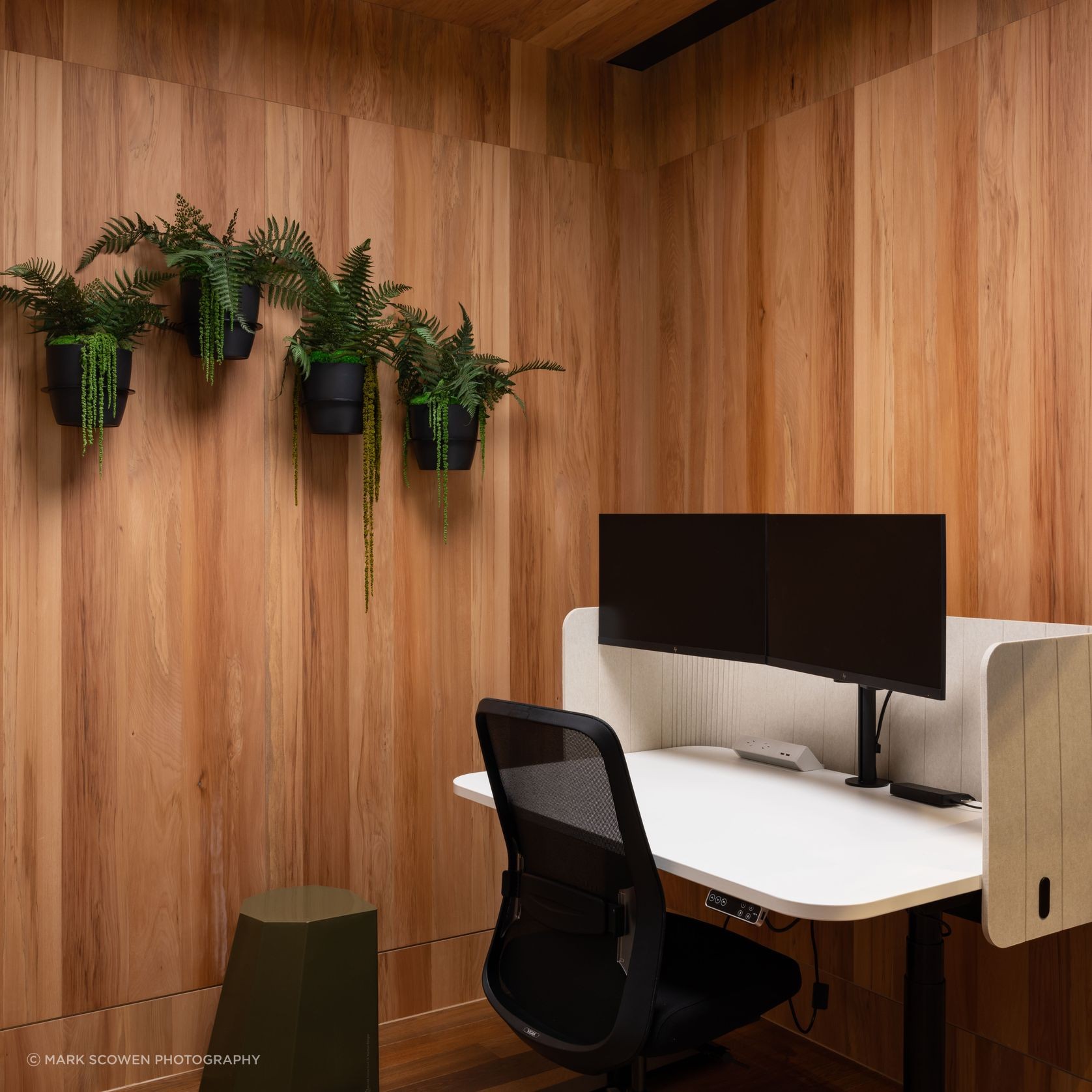 Prime Toitū Veneer Interior Panels gallery detail image