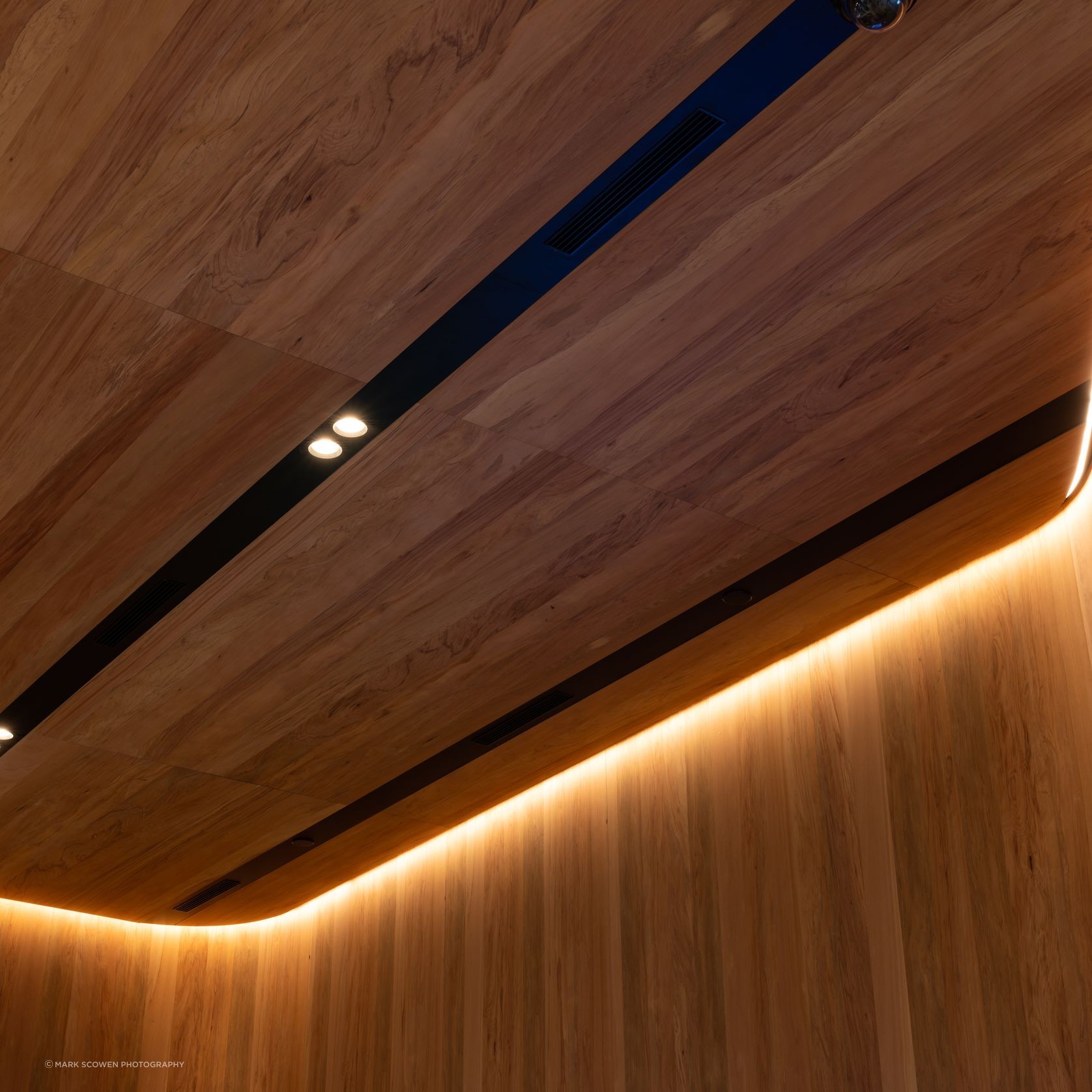 Prime Toitū Veneer Interior Panels gallery detail image