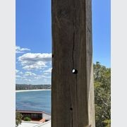 Posts and Beams gallery detail image