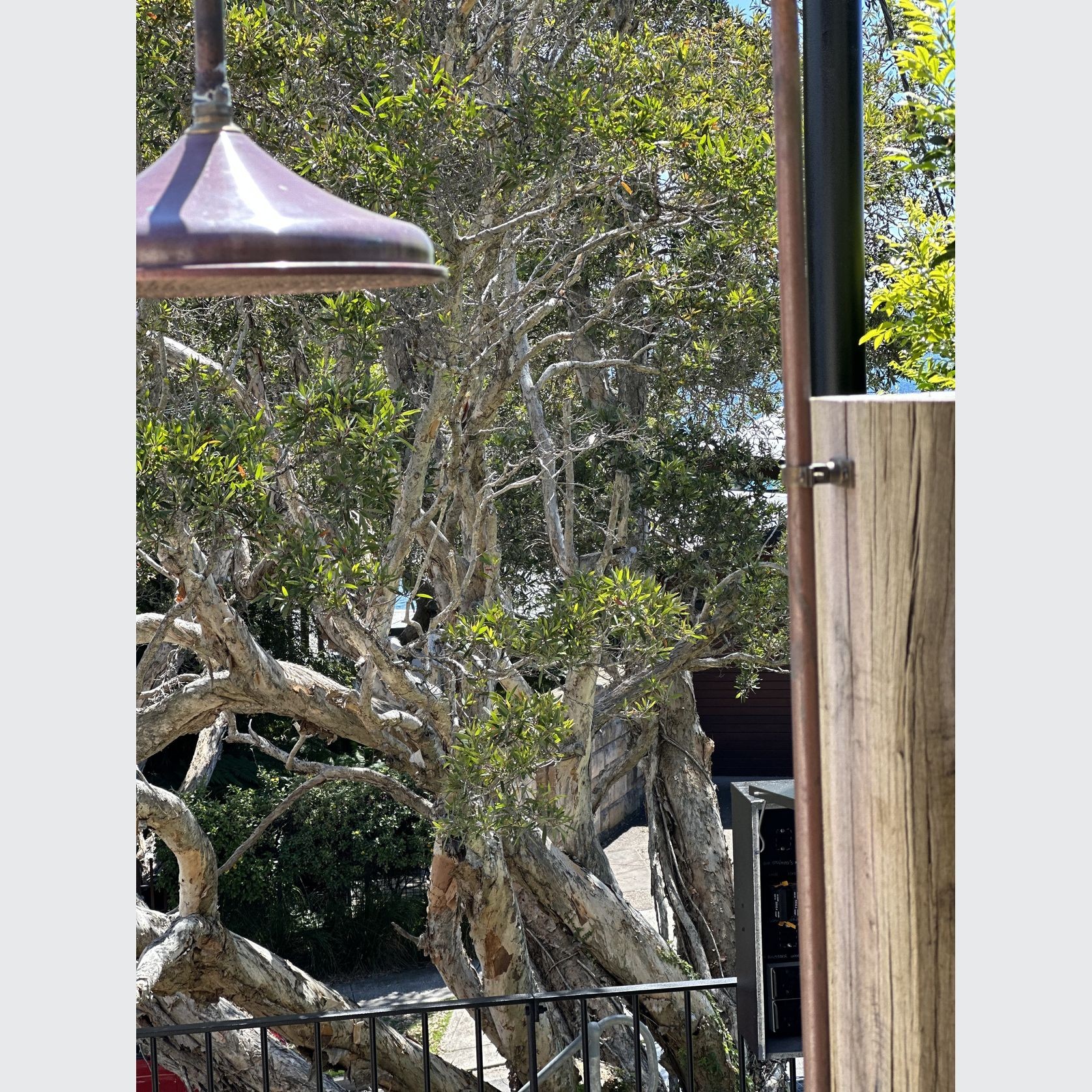 Posts and Beams gallery detail image