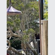 Posts and Beams gallery detail image