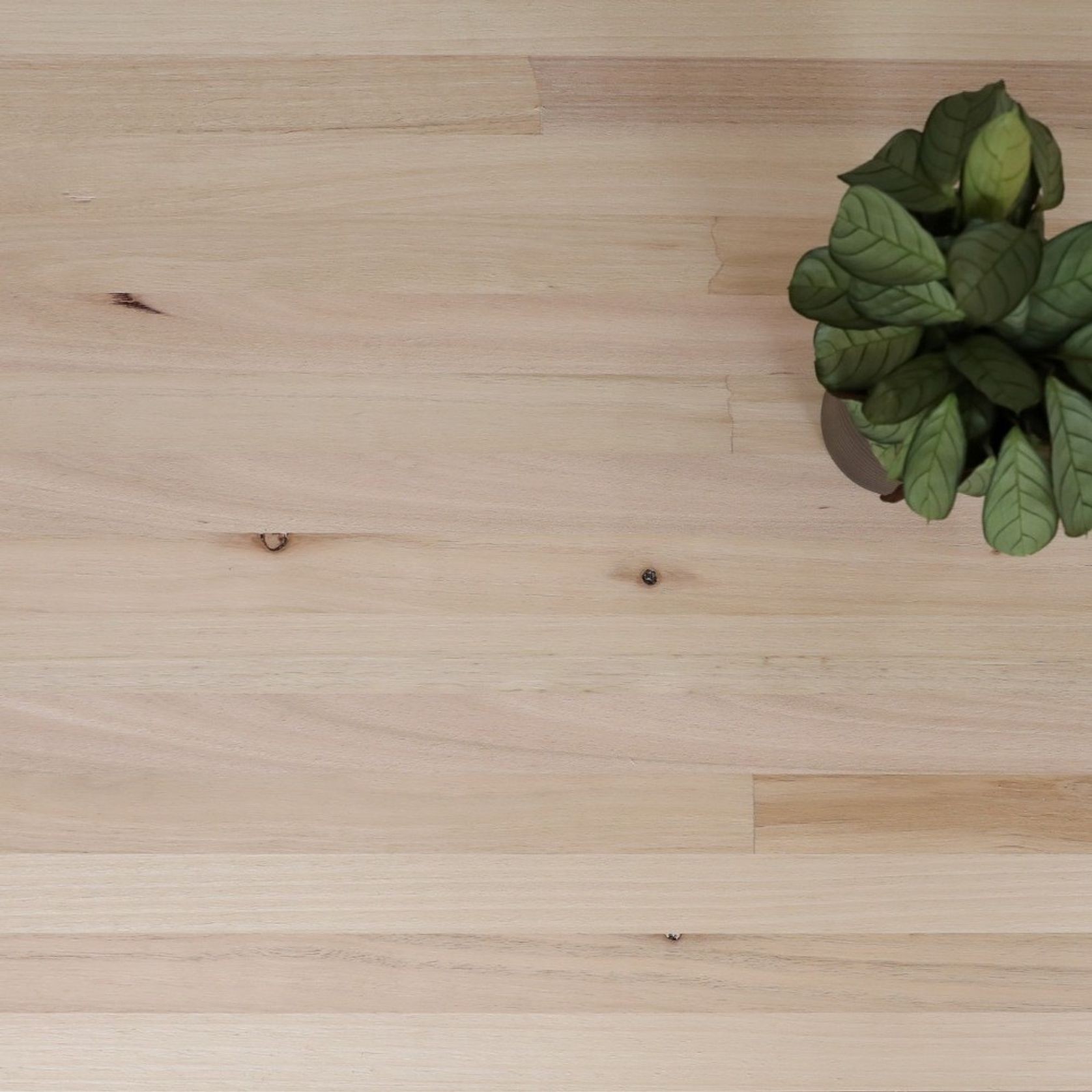 Plantation Oak Timber gallery detail image