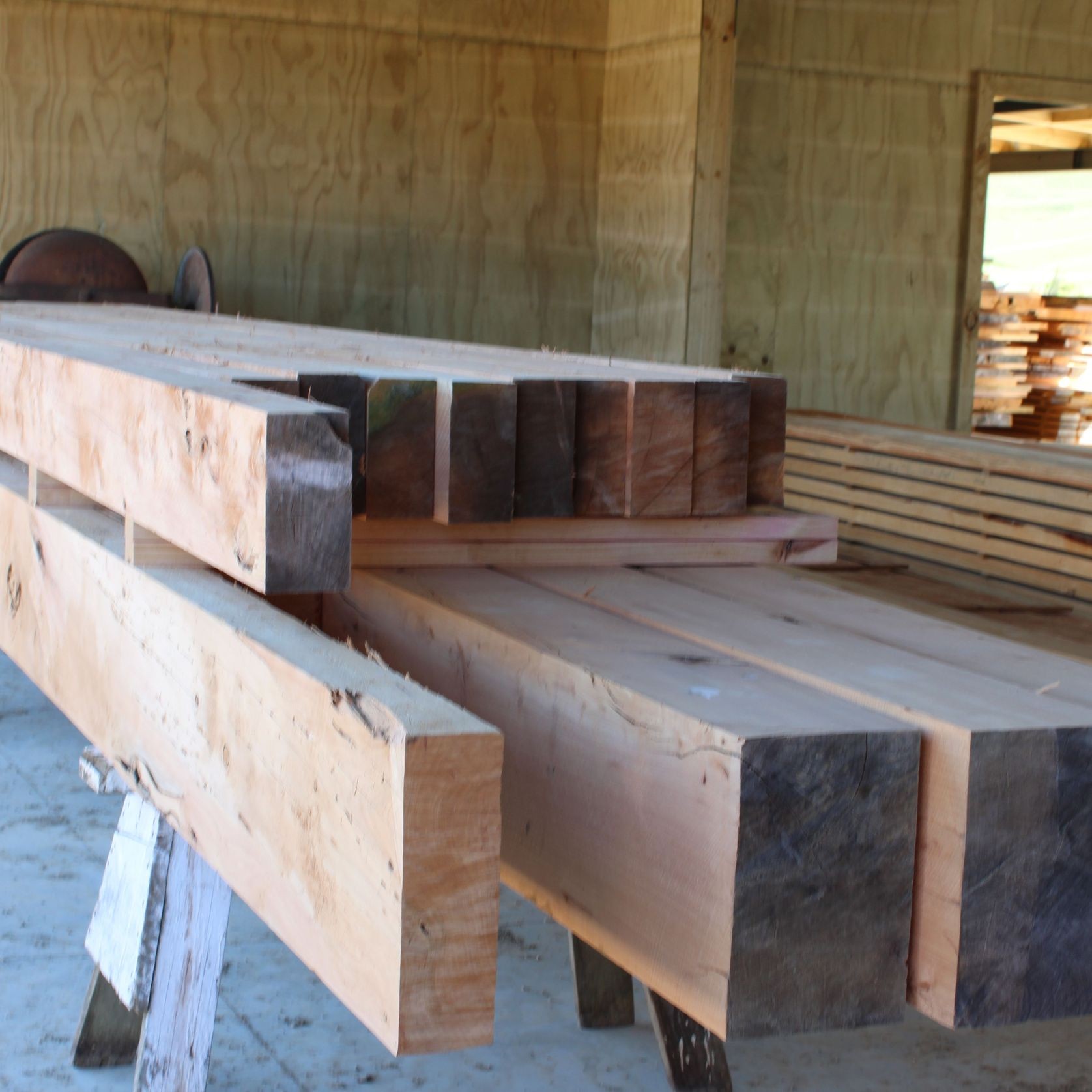 Timber Beams gallery detail image