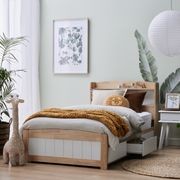 Rio Toddler Single Storage Bed | Hardwood Frame gallery detail image