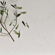Caesarstone Mineral gallery detail image
