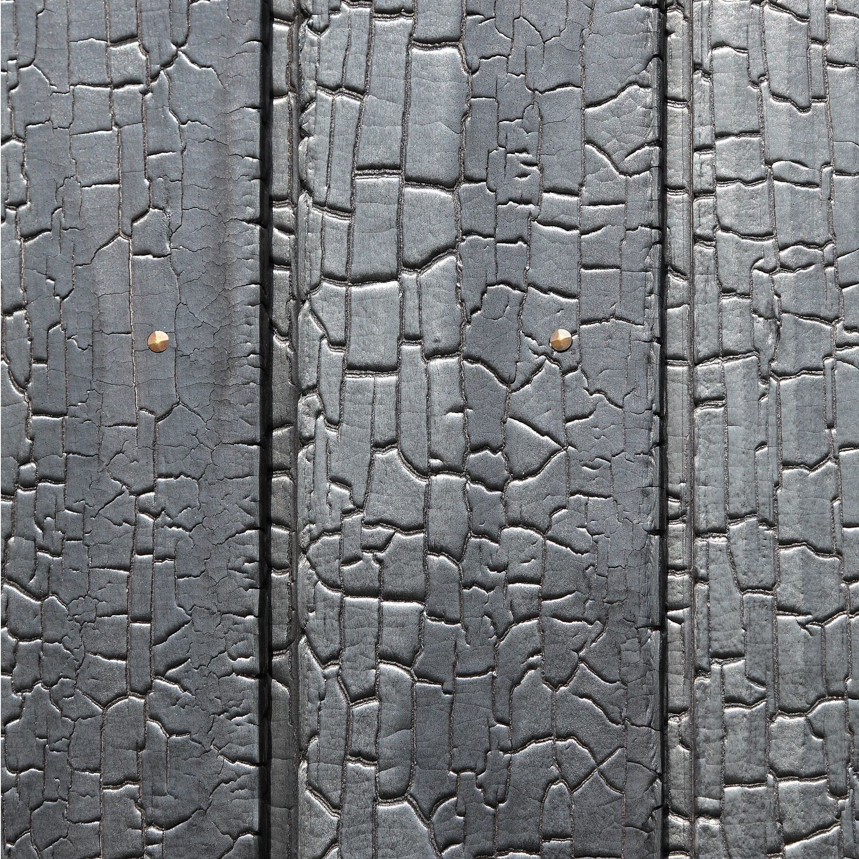 Charred Accoya for Timber Cladding, Fins and Panelling gallery detail image