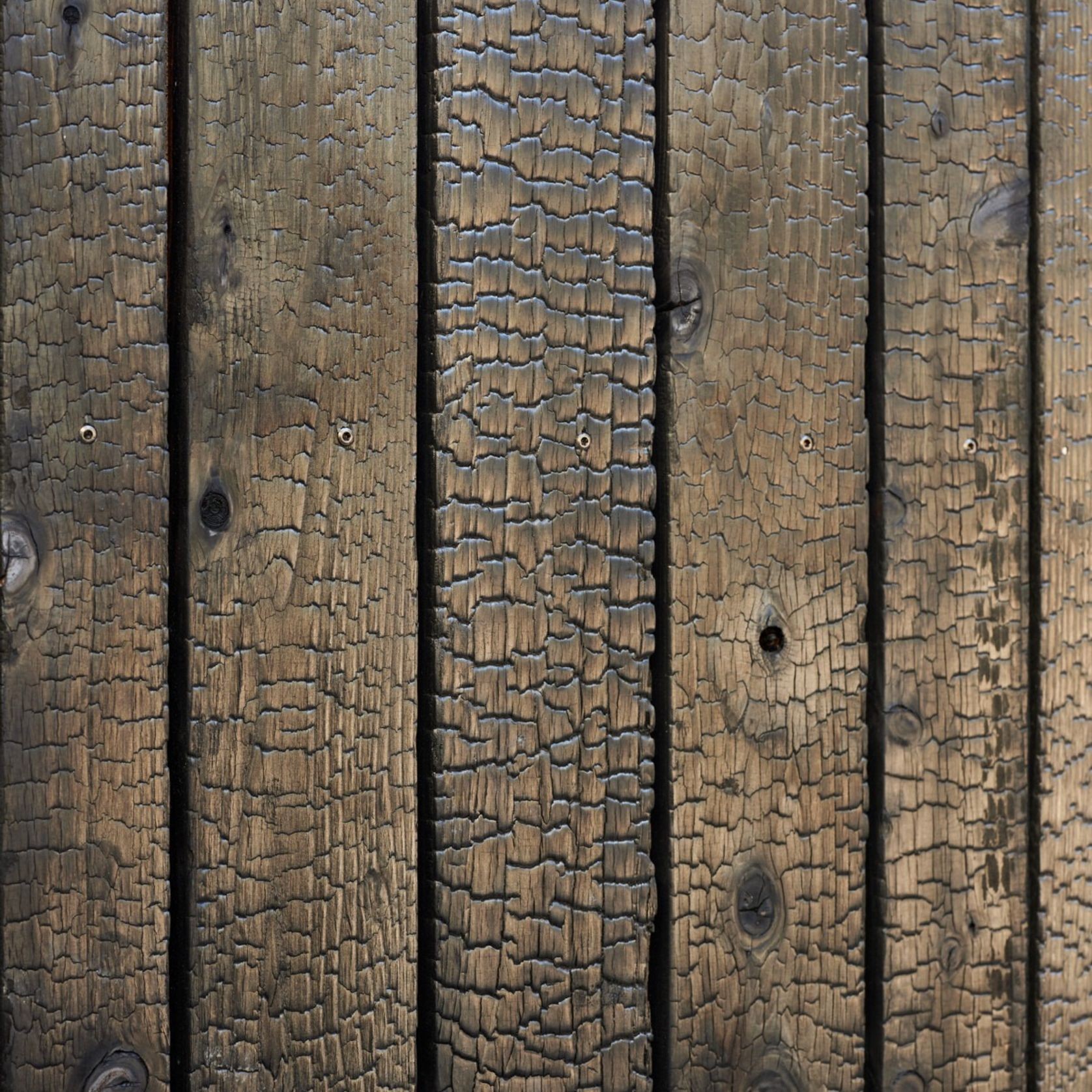 Japanese Cedar Exterior Cladding gallery detail image