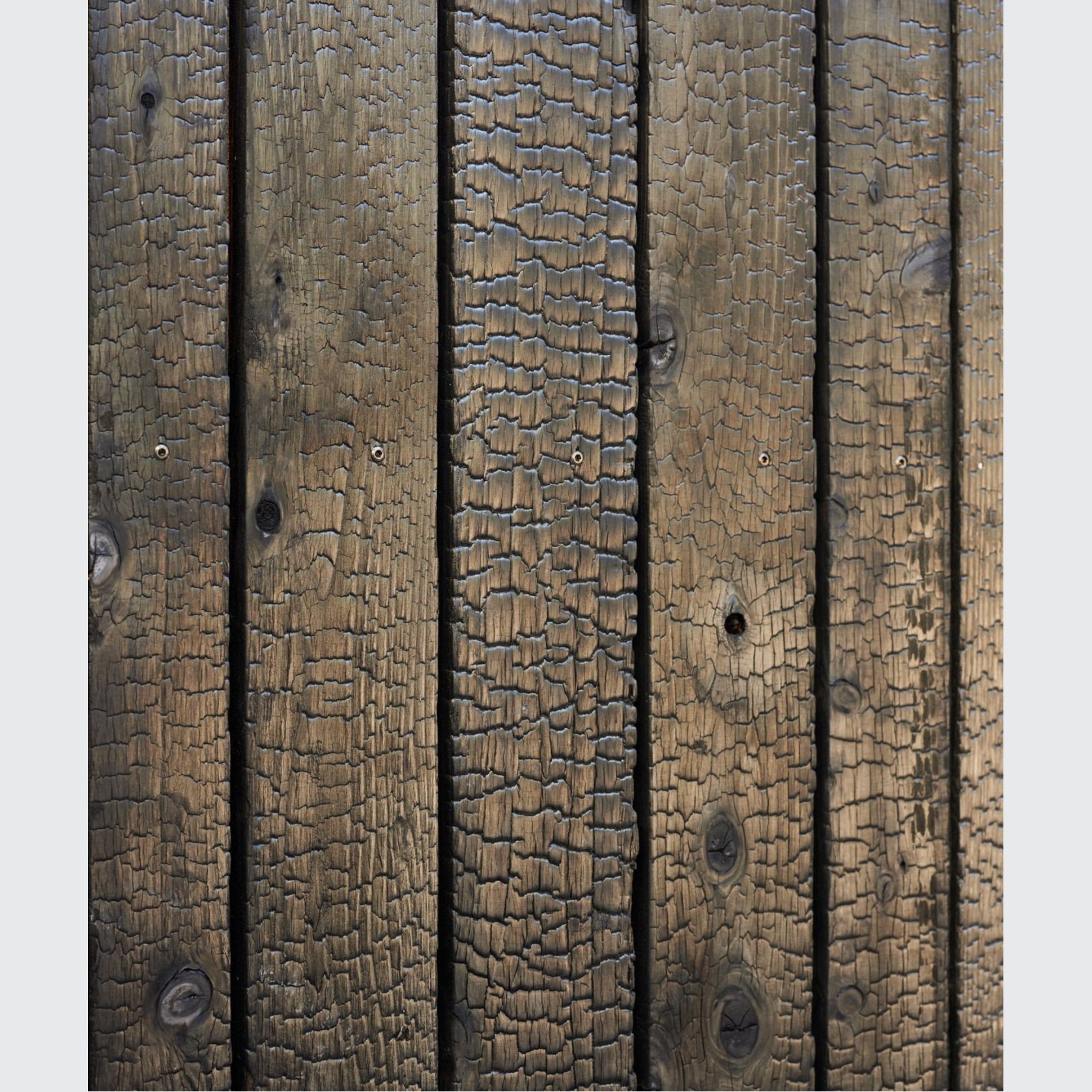 Japanese Cedar Exterior Cladding gallery detail image