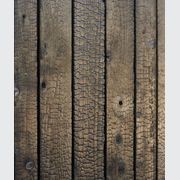 Japanese Cedar Exterior Cladding gallery detail image