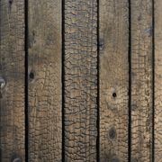 Japanese Cedar Exterior Cladding gallery detail image