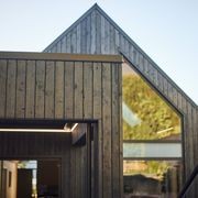 Japanese Cedar Exterior Cladding gallery detail image