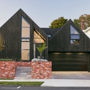 Japanese Cedar Exterior Cladding gallery detail image