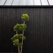 Japanese Cedar Exterior Cladding gallery detail image
