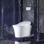 Veil Integrated Bidet And Toilet gallery detail image