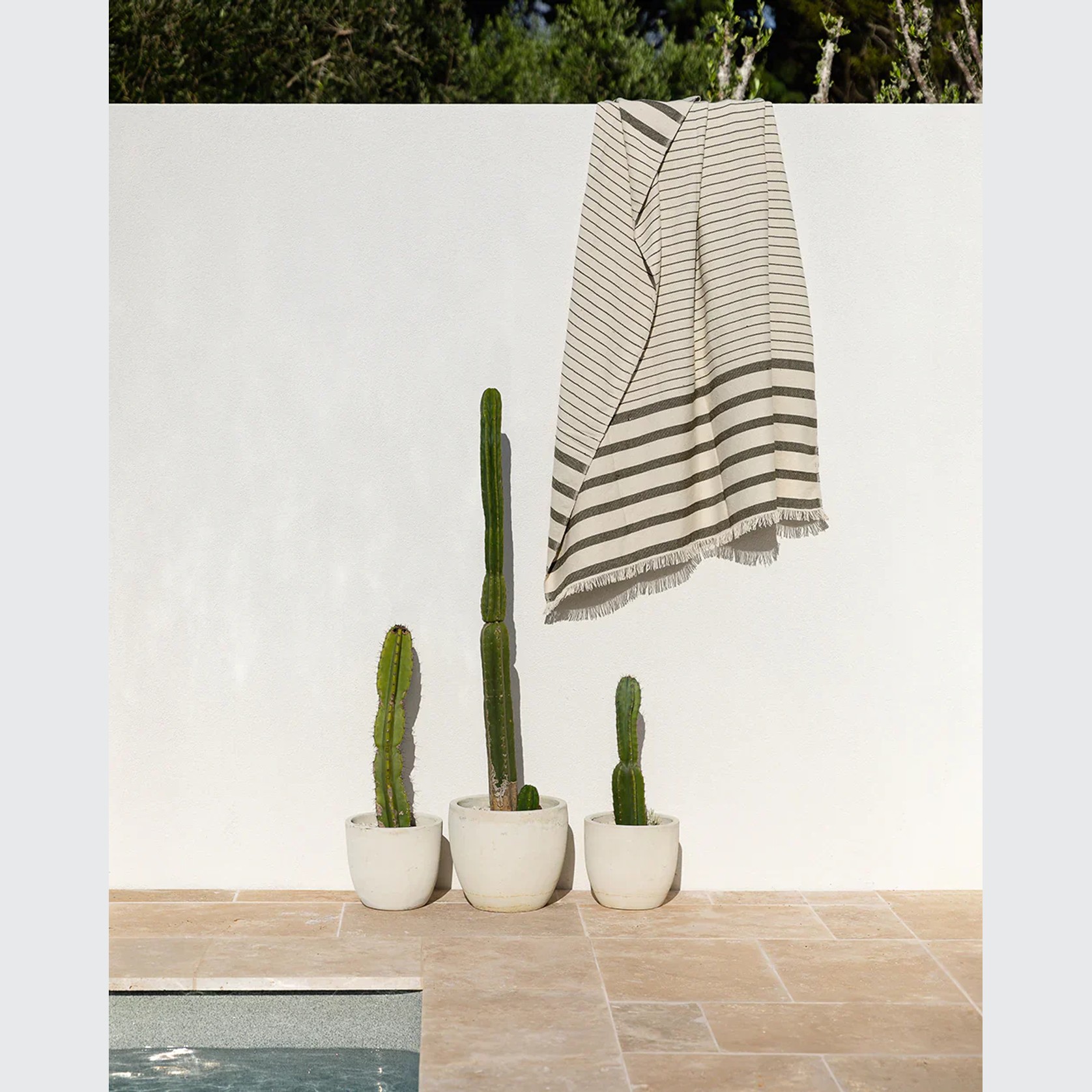 Baya Banksia Throw - Avocado | Summer Outdoor Style gallery detail image