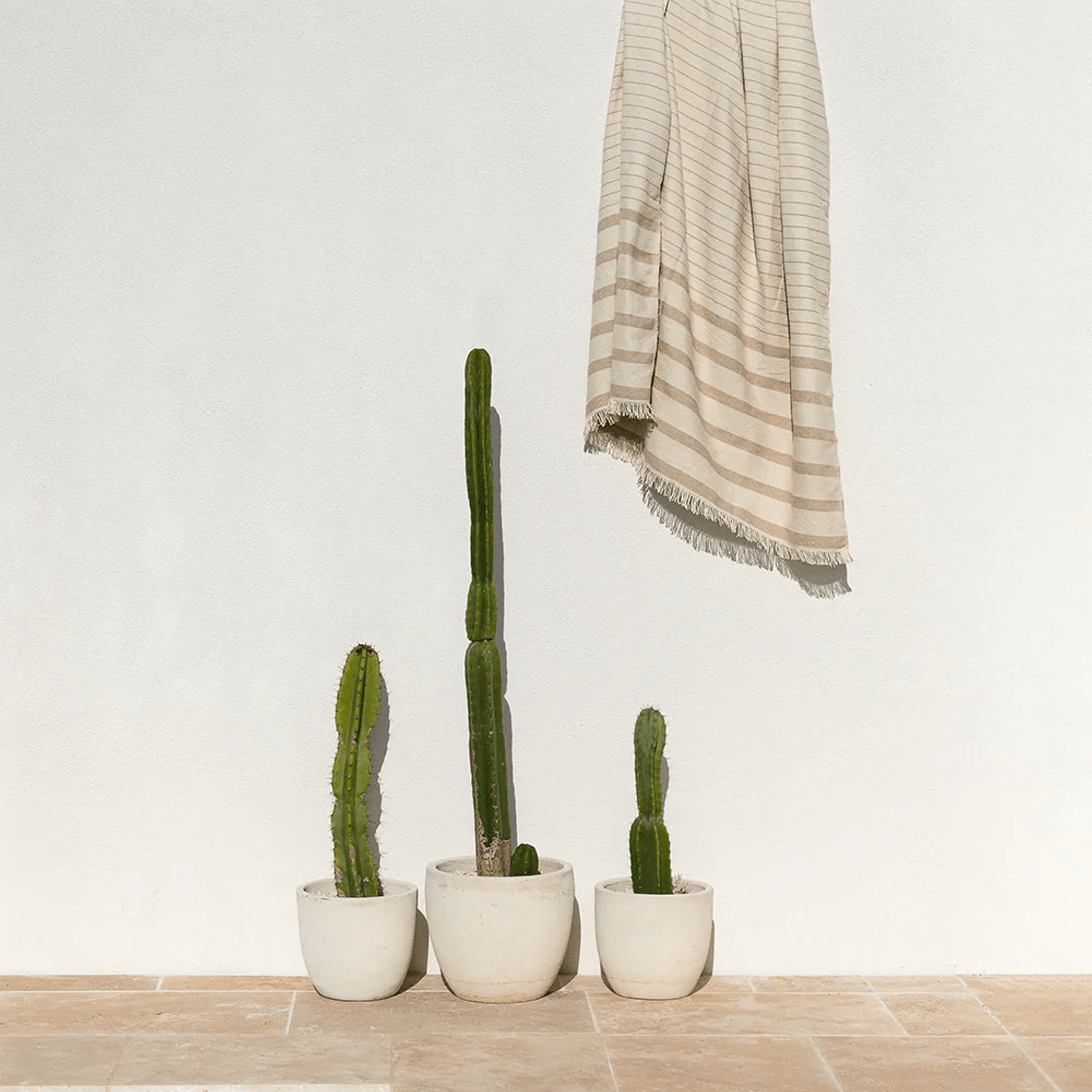 Baya Banksia Throw - Almond | Summer Outdoor Style gallery detail image
