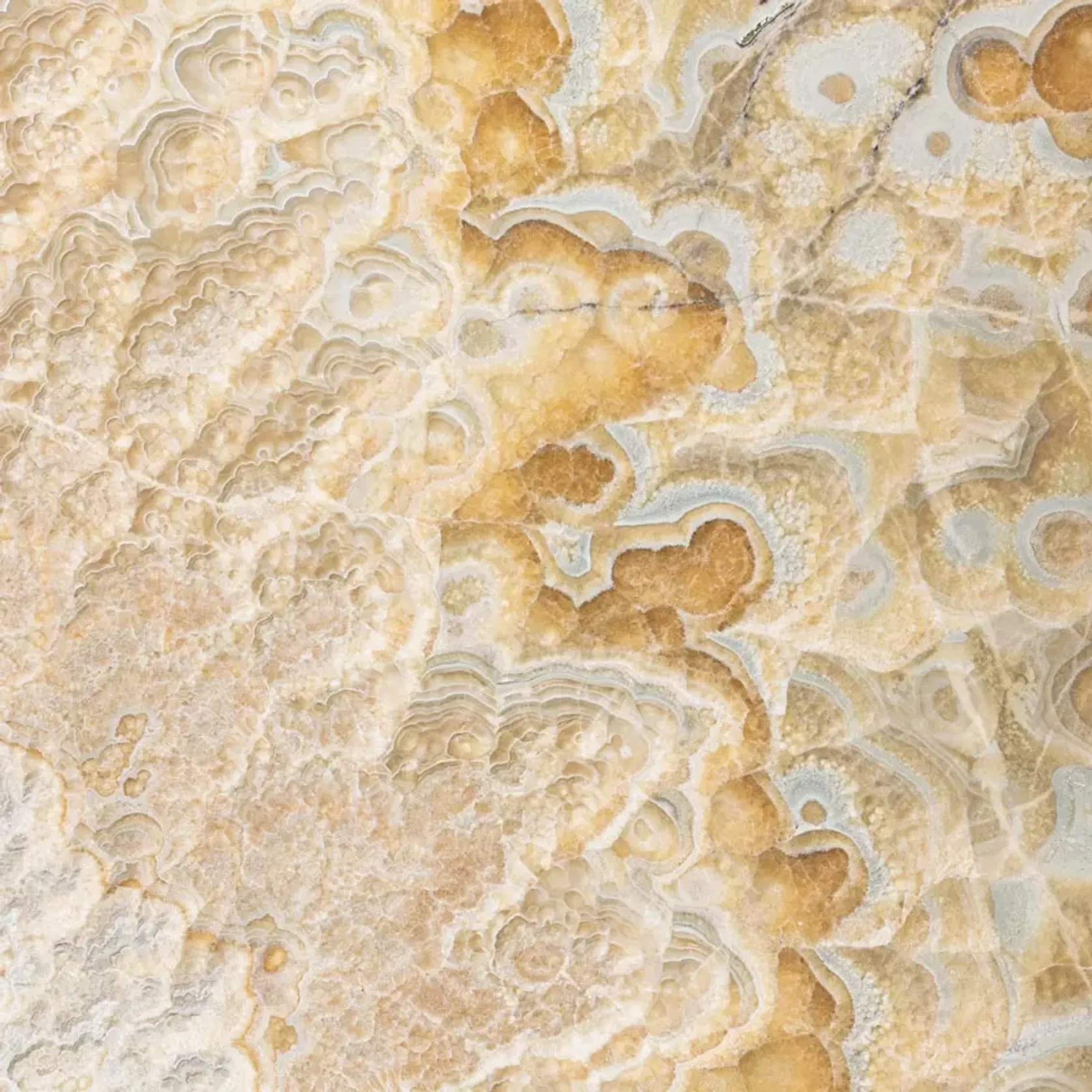 Onyx Collection gallery detail image