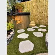 Steppers gallery detail image