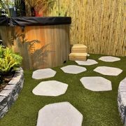 Steppers gallery detail image