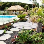 Steppers gallery detail image