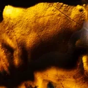 Onyx Collection gallery detail image