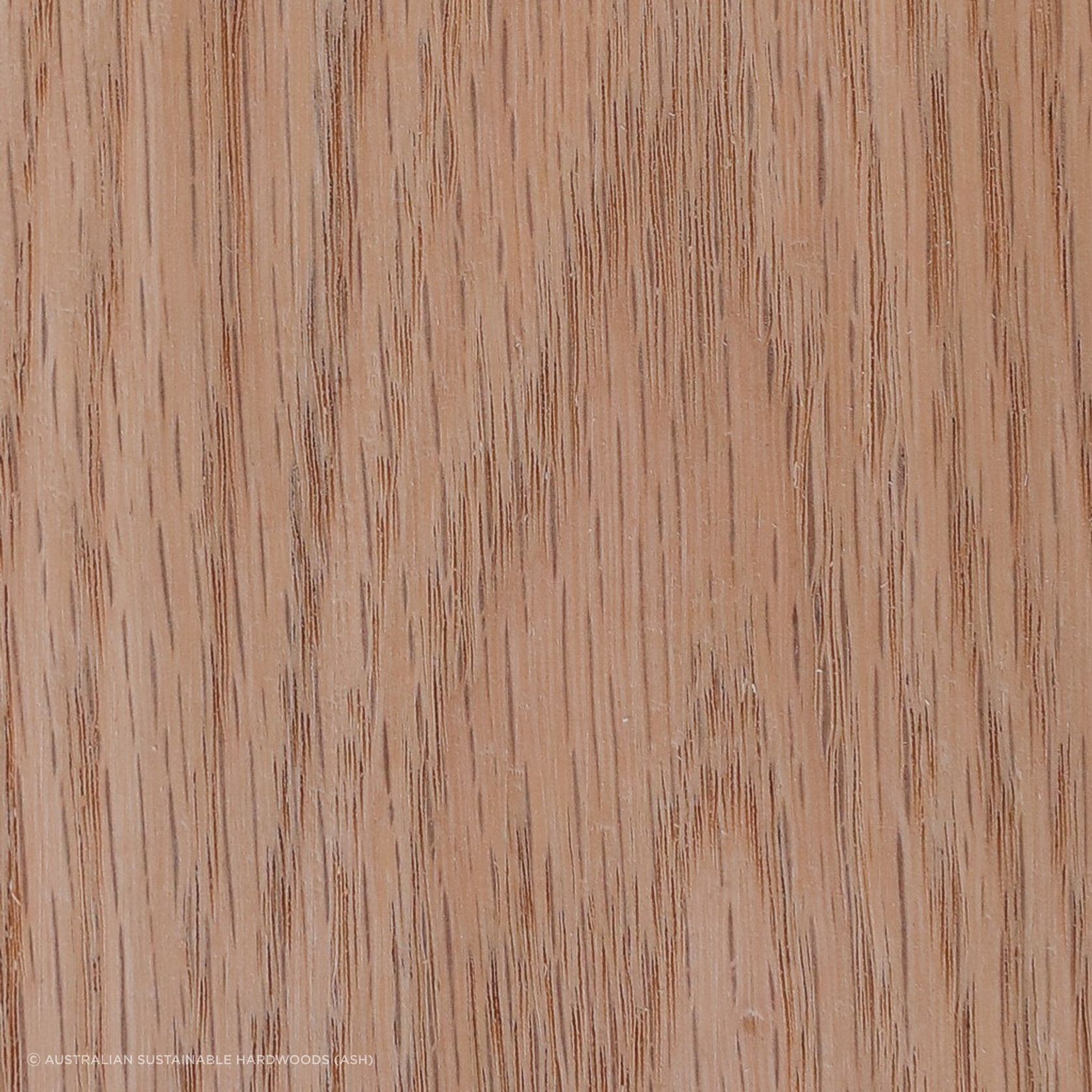 External Hardwood Timber gallery detail image