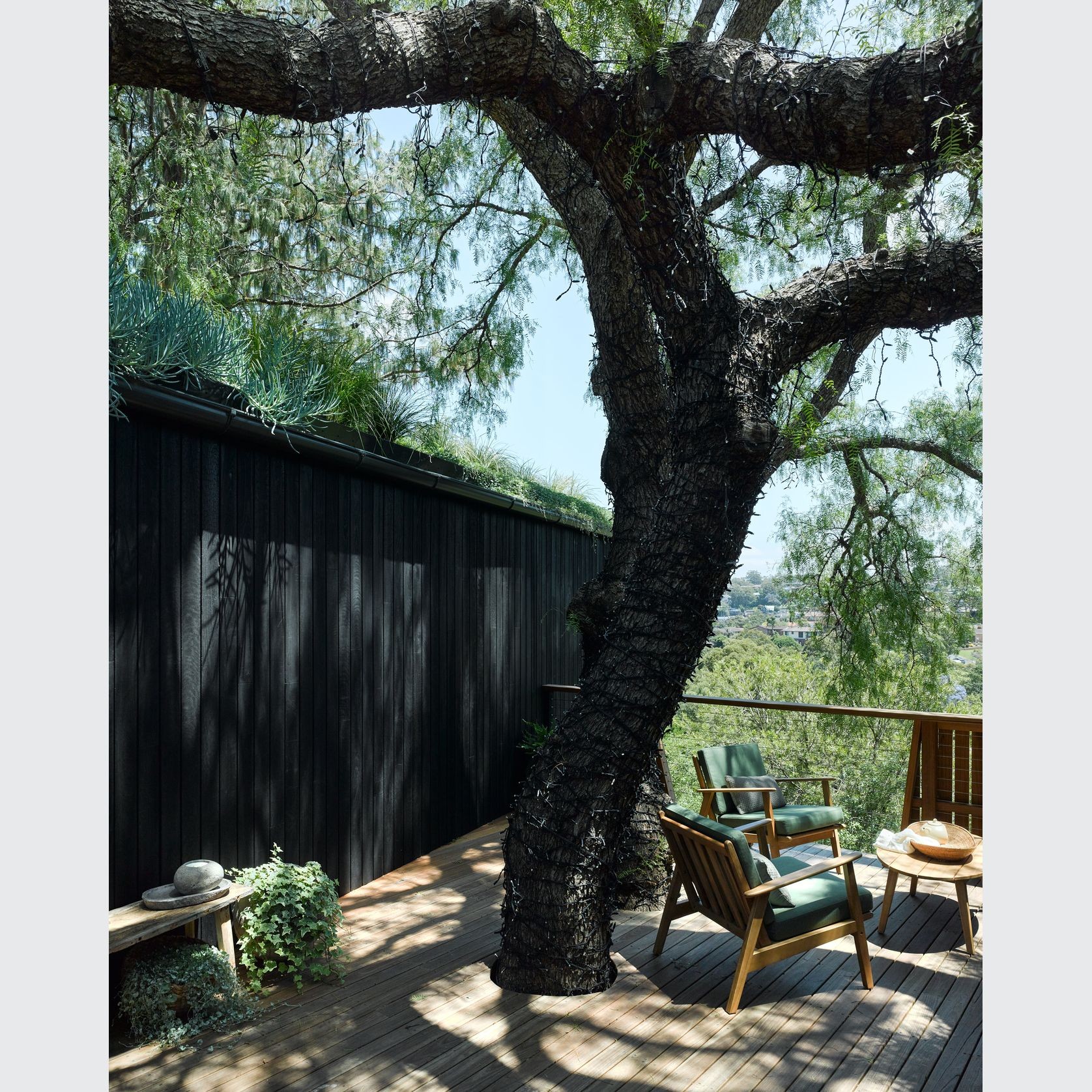 Charred Timber Cladding gallery detail image