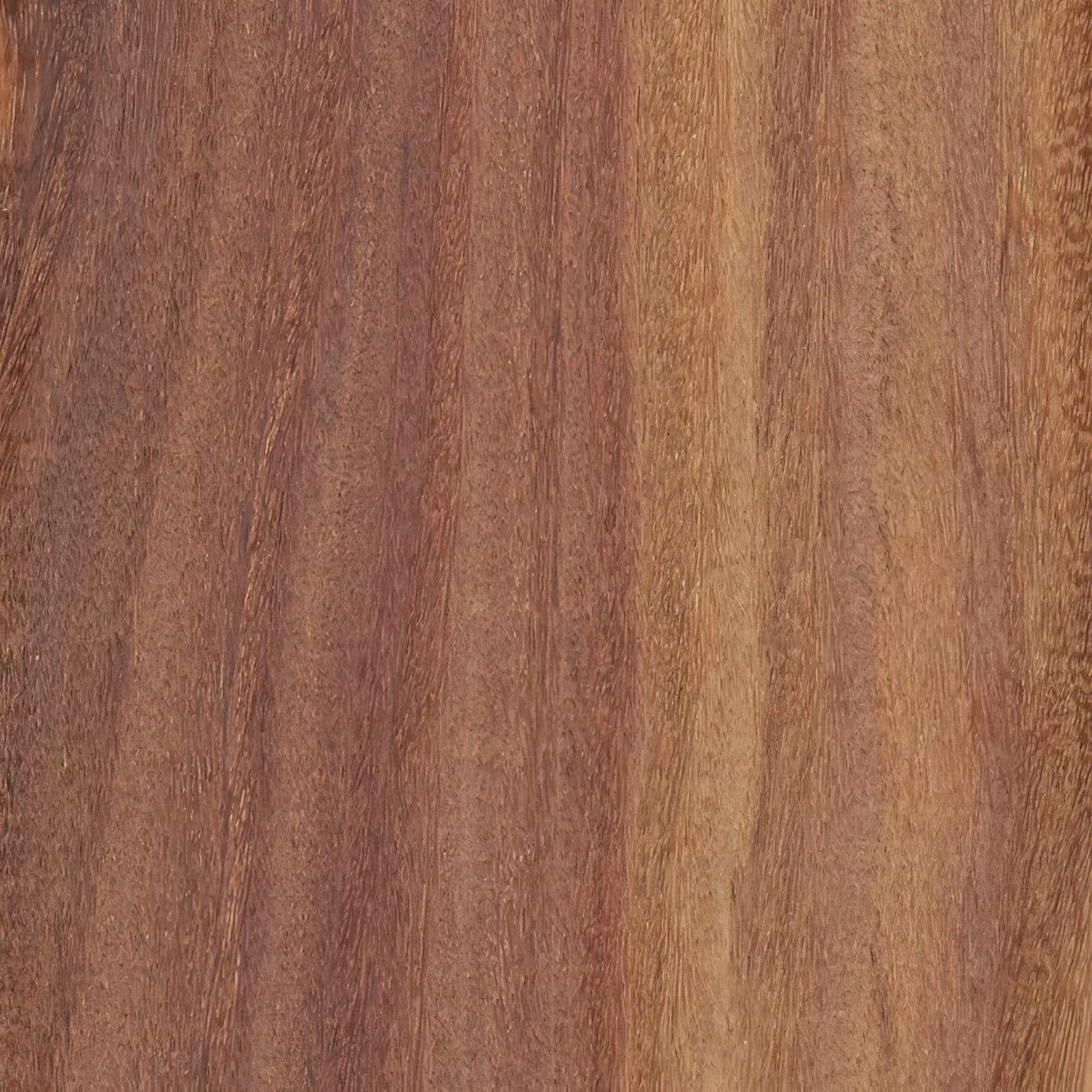 JSC Timber Species Range gallery detail image