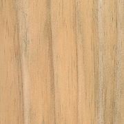 JSC Timber Species Range gallery detail image