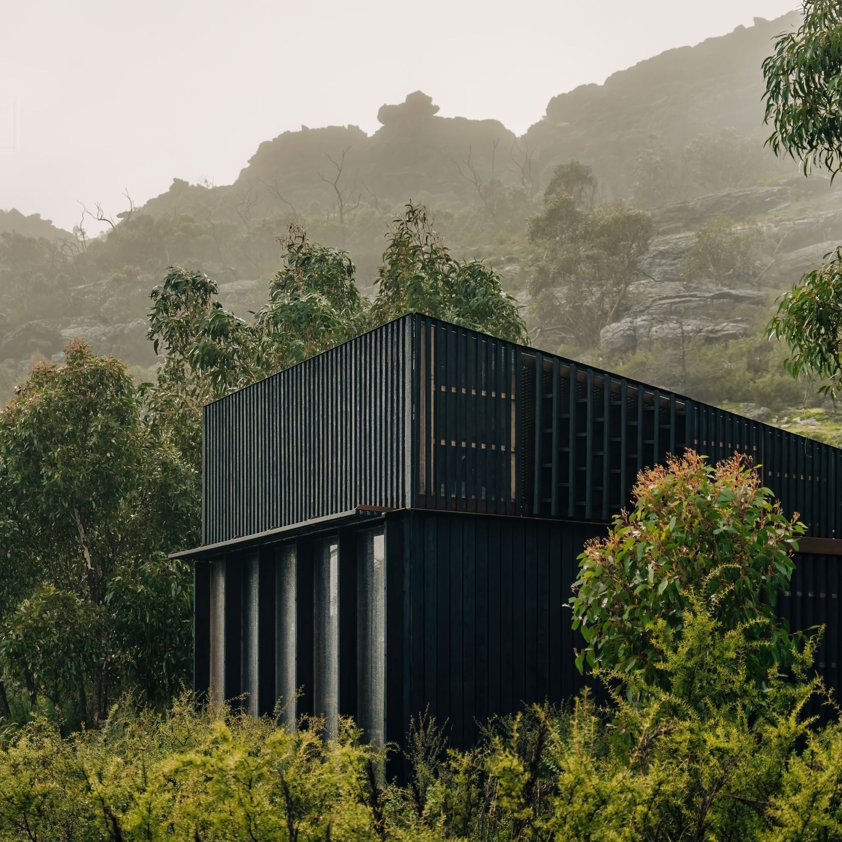 Charred Timber Cladding gallery detail image