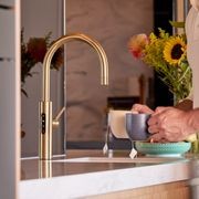 Billi Home BC with Gooseneck Multifunction Mixer Tap gallery detail image