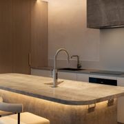 Billi Home BCS with Gooseneck Multifunction Mixer Tap gallery detail image