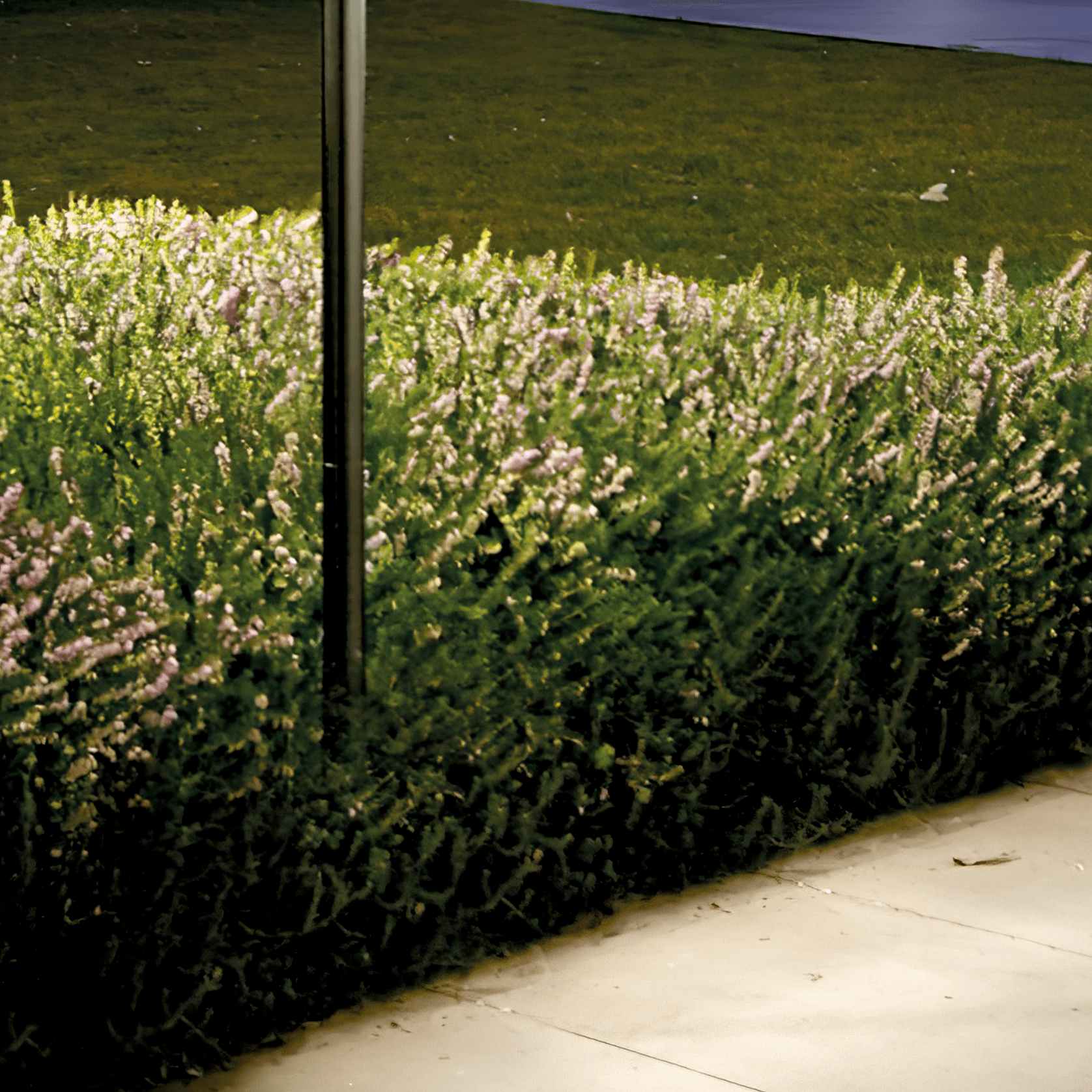 Spillo Wall Light and Bollard gallery detail image