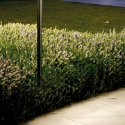 Spillo Wall Light and Bollard gallery detail image