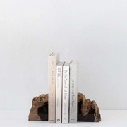 Petrified Wood Bookends / PAIR gallery detail image