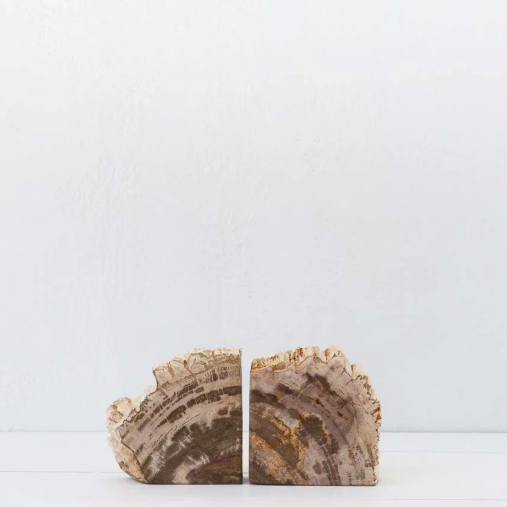 Petrified Wood Bookends / PAIR gallery detail image