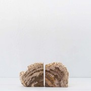Petrified Wood Bookends / PAIR gallery detail image