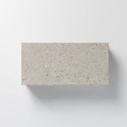 390 Standard | Bricks gallery detail image