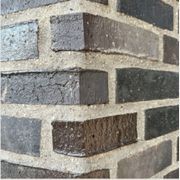 Black Beauty | Bricks gallery detail image