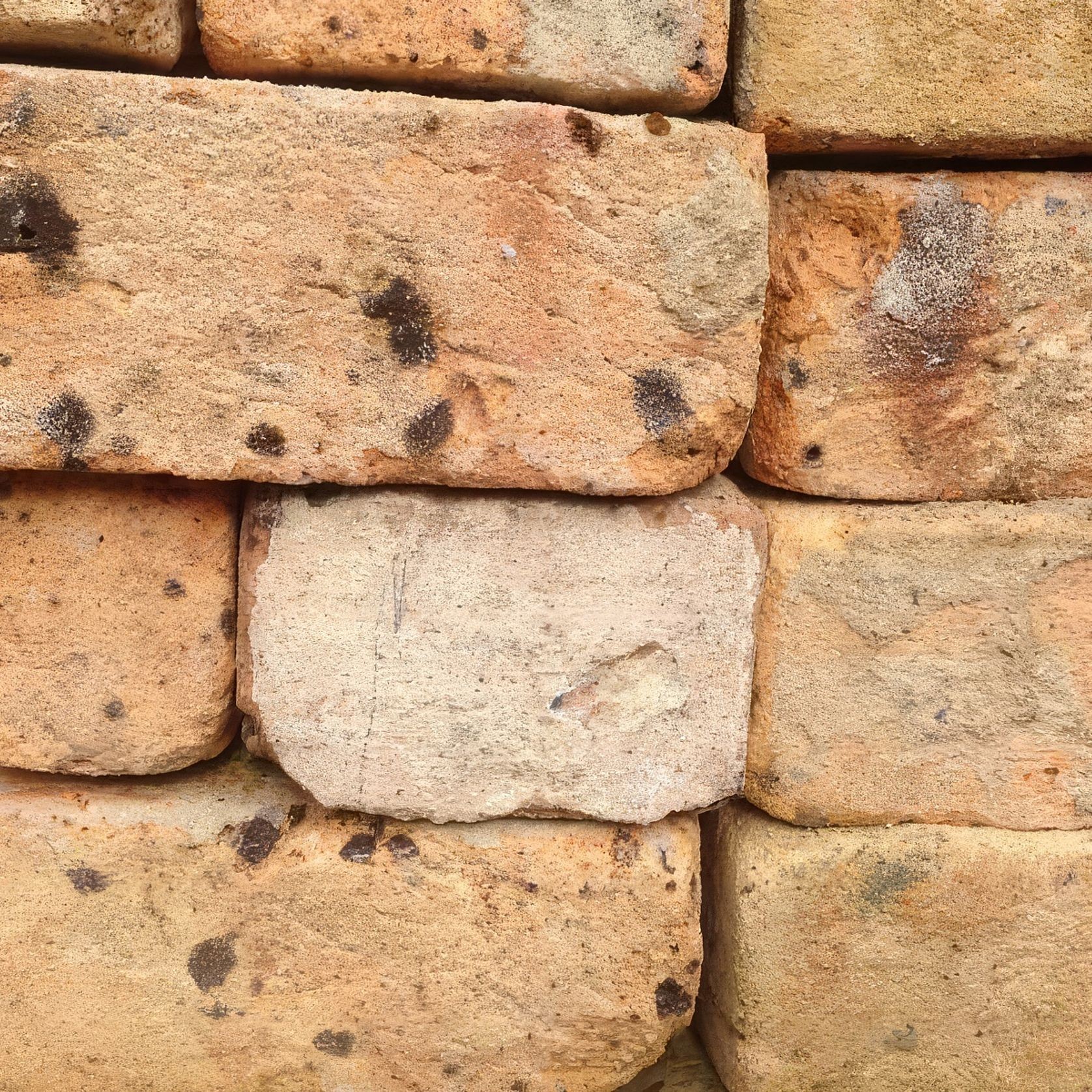 Sandstocks gallery detail image