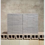 Extruded Clinker Bricks gallery detail image