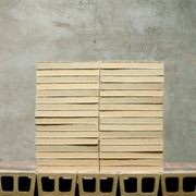 Extruded Clinker Bricks gallery detail image