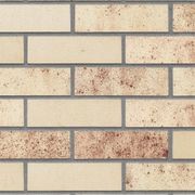 Shotten | Brickslip Facades gallery detail image