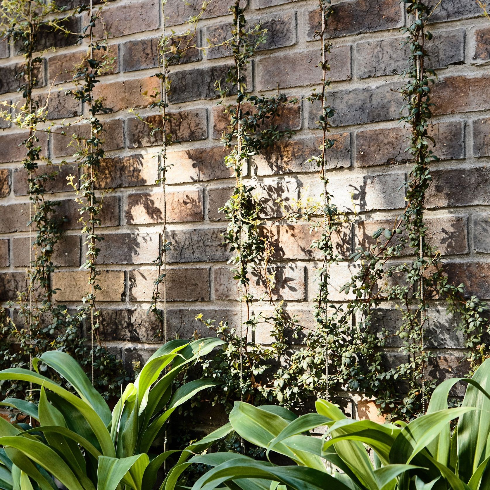 Krause Standard Bricks gallery detail image