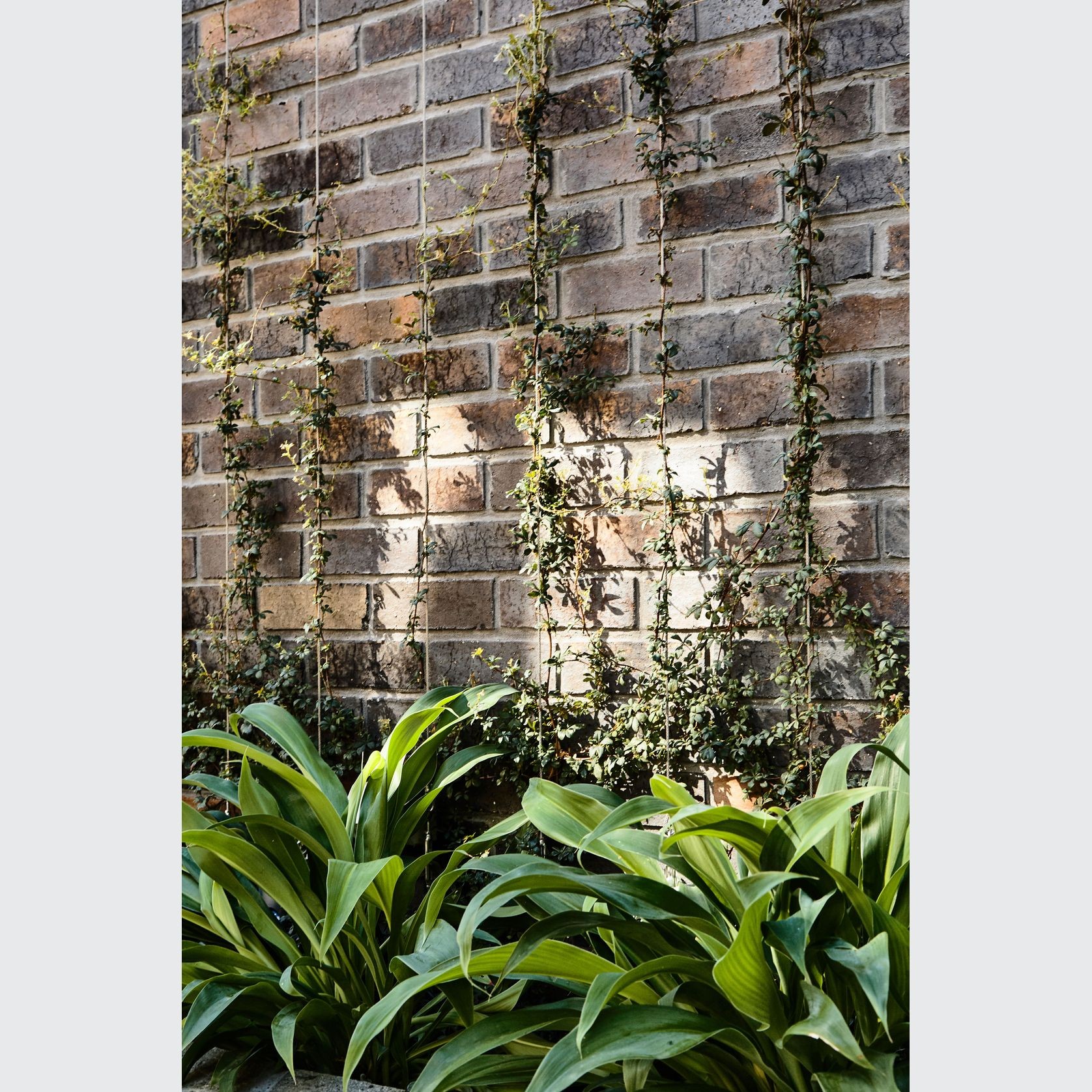 Krause Standard Bricks gallery detail image