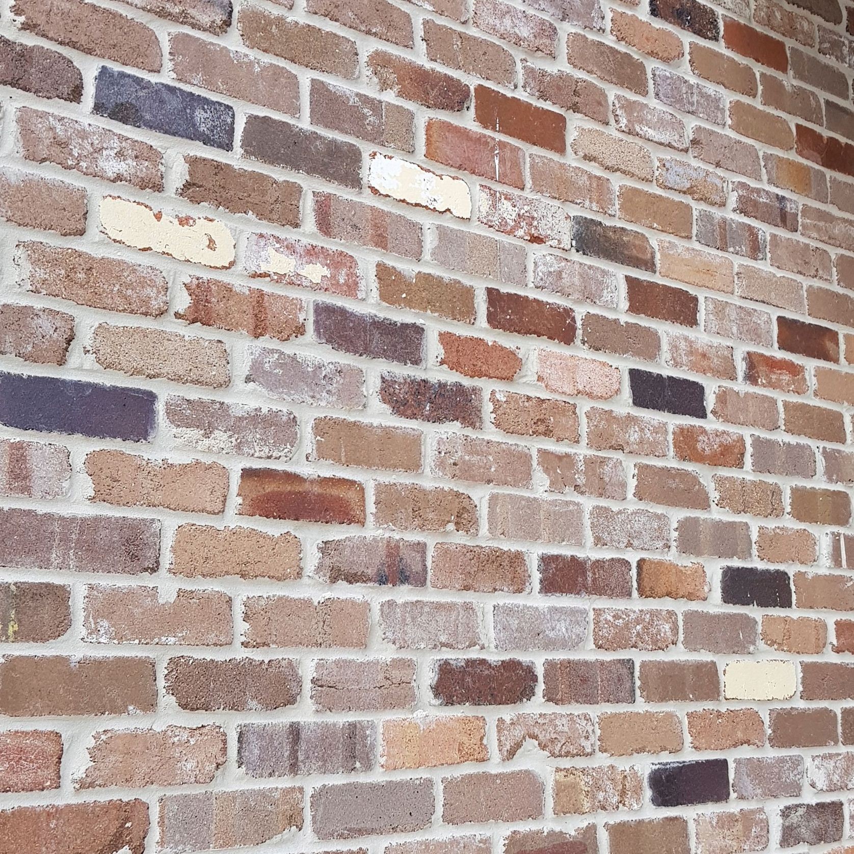 Feature Blends gallery detail image
