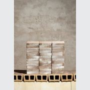 Original Water-Struck Bricks gallery detail image