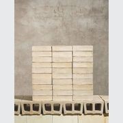 Original Water-Struck Bricks gallery detail image