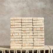 Original Water-Struck Bricks gallery detail image